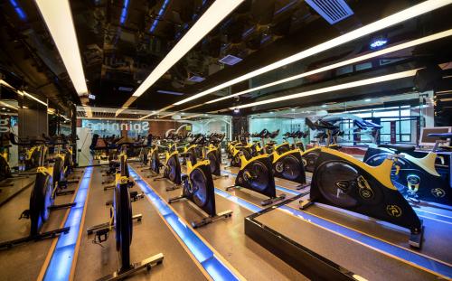 健身會所地面選用什么材料好？